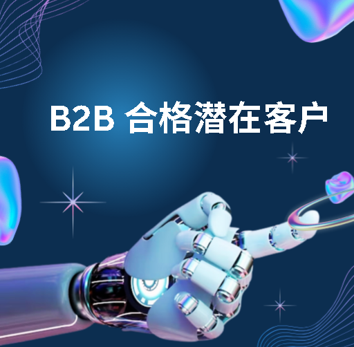 B2B 合格潜在客户