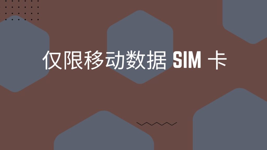 仅限移动数据 SIM 卡