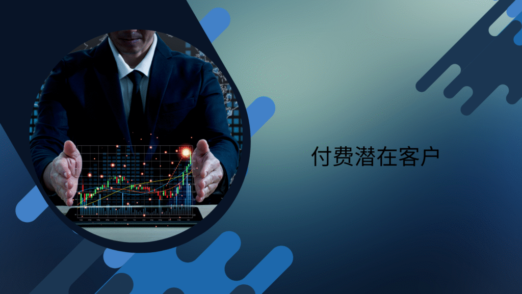 付费潜在客户